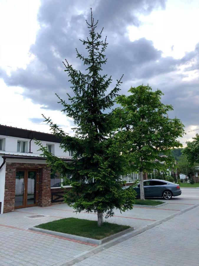 Nueva Park Hotel Brasov Ngoại thất bức ảnh